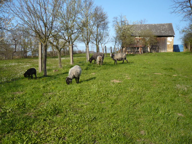 P1050009.JPG