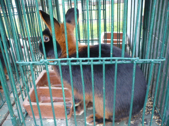 P1050233.JPG