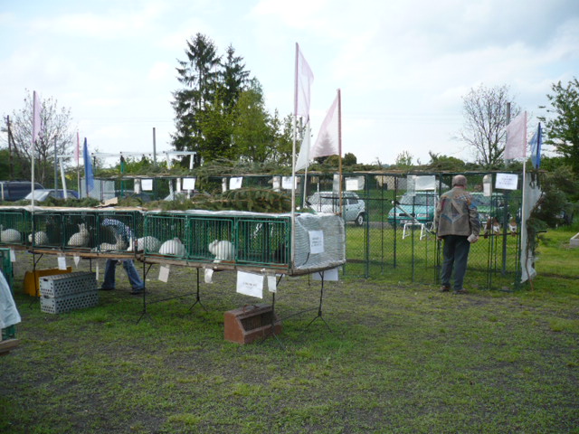 P1050259.JPG