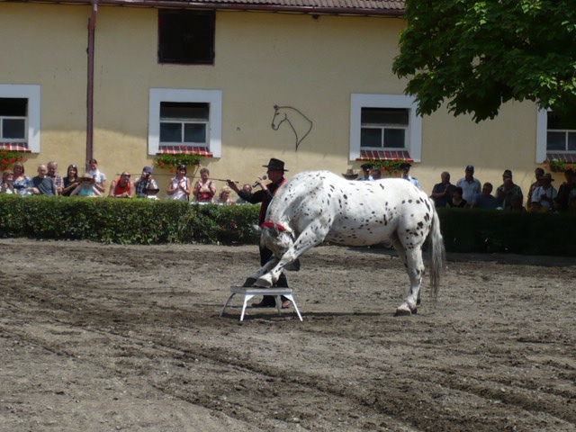 P1000941.JPG