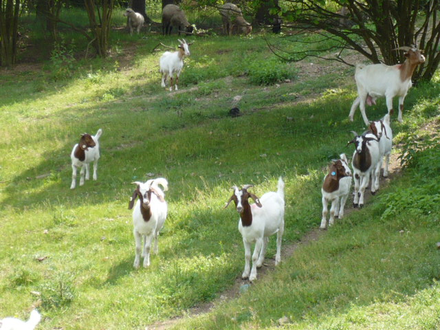 P1000624.JPG